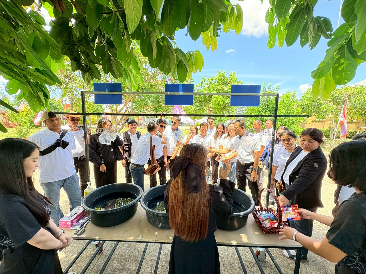 catalogs_file_377_35_20_401650.webp