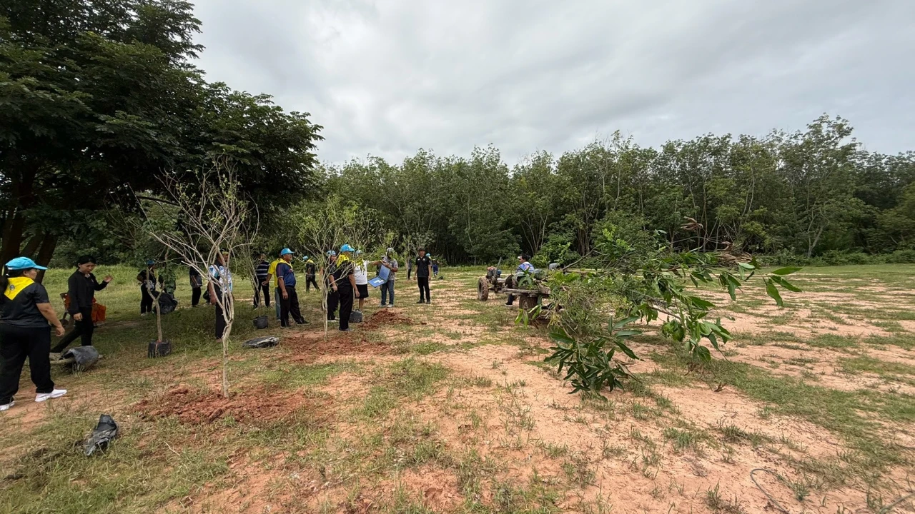 catalogs_file_425_30_27_795700.webp